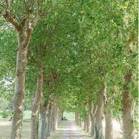 شقة Chateau Saint Joseph Un Havre De Paix Familial En Pleine Nature