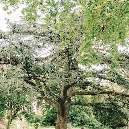 شقة Chateau Saint Joseph Un Havre De Paix Familial En Pleine Nature